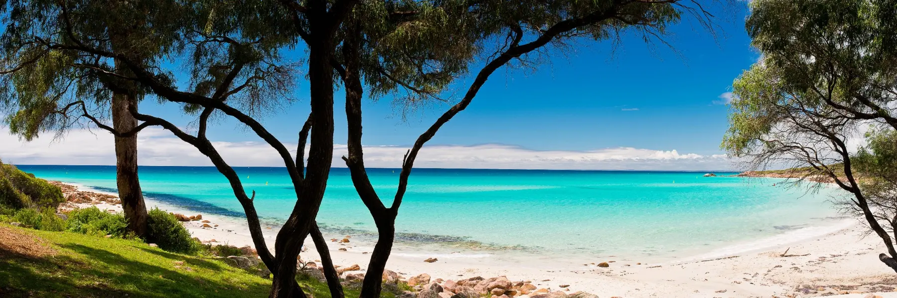 Turquoise Meelup Beach near Dunsborough framed by coastal trees